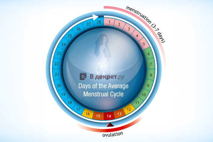 Как Высчитать Безопасные Дни Для Занятия Сексом