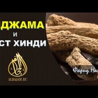 Кыст аль хинди для женщин: применение порошка и капсул помогает при бесплодии