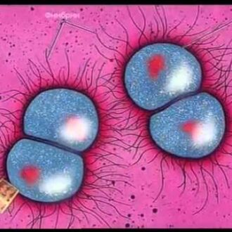 Заболевание передающиеся только половым путем приводящие к бесплодию