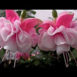 ВЯЗАНИЕ НОВОРОЖДЕННЫМ, Записи в рубрике ВЯЗАНИЕ НОВОРОЖДЕННЫМ, Дневник Таня_Съедина: LiveInternet — Российский Сервис Онлайн-Дневников