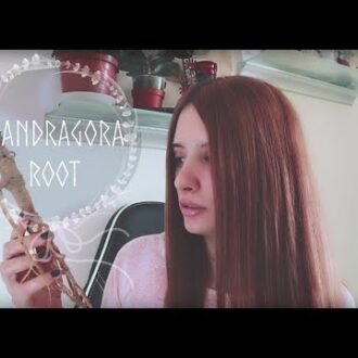 Мандрагора корень при бесплодии