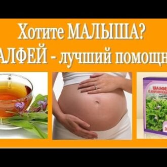 Сурепка для мужчин от бесплодия — Бесплодие