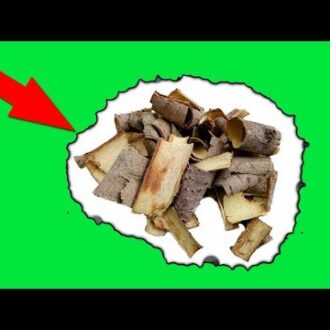 Кора осины при бесплодии