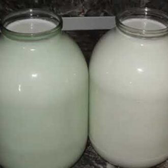 Помогает ли козье молоко при бесплодии