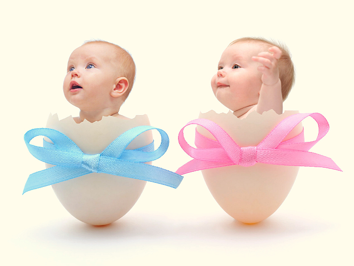 Как забеременеть двойней или близнецами естественным путем?