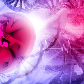 Сердцебиение плода по неделям — нормы у мальчиков и девочек, причины отклонений