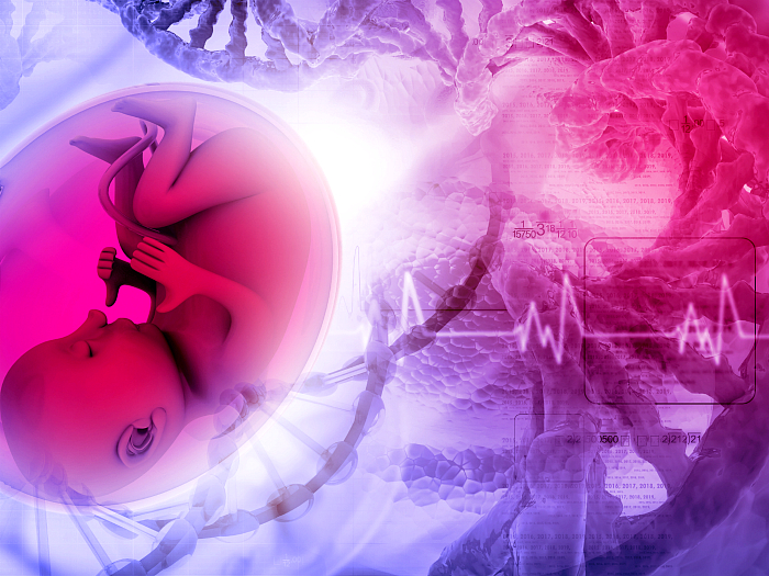 Сердцебиение плода по неделям — нормы у мальчиков и девочек, причины отклонений