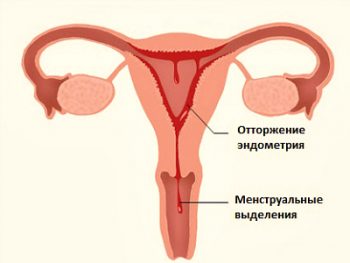 Иллюстрация 4