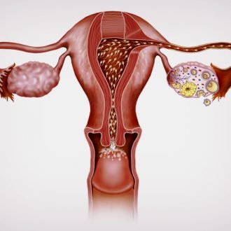 Когда тест покажет беременность при поздней, ранней овуляции?