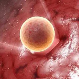 Почему нет овуляции при регулярных месячных и как можно ее стимулировать?