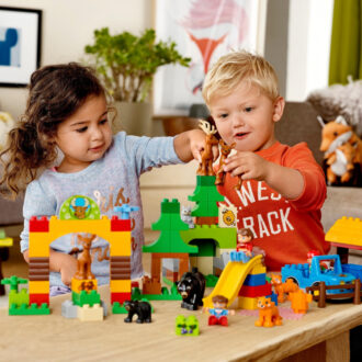 Где приобрести качественный конструктор Лего для детей: описание, ассортимент, критерии выбора, особенности и плюсы конструктора