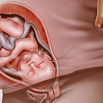 Третий триместр беременности по неделям: как развивается ребенок