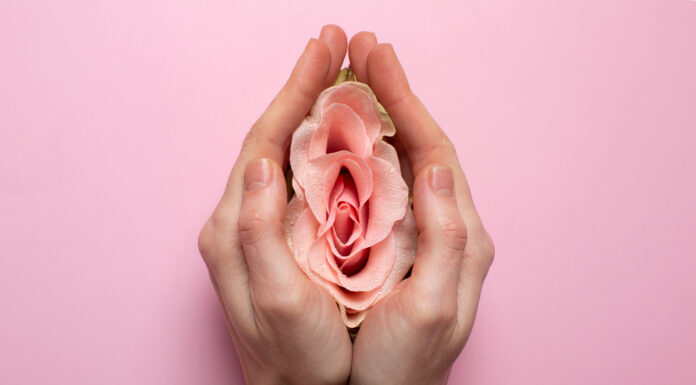 Приём гинеколога с обзорной кольпоскопией: что это, как проходит и зачем нужна процедура