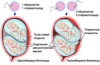 Иллюстрация 1