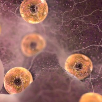 Каким должен быть размер фолликула при овуляции?