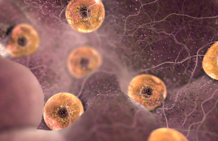 Каким должен быть размер фолликула при овуляции?