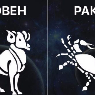 Овен и Рак: совместимость в любви и браке