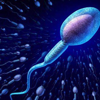 Создание детей: как происходит оплодотворение