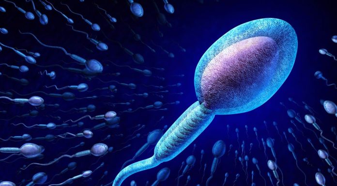 Создание детей: как происходит оплодотворение