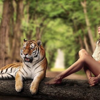 Предсказания на 2022: как привлечь хорошее в свою жизнь