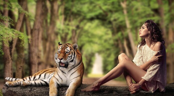 Предсказания на 2022: как привлечь хорошее в свою жизнь