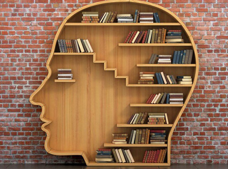 Тест на эрудицию. Ответишь ли ты на эти вопросы без подсказок?