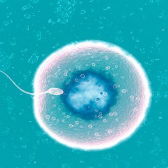 Как определить, произошло ли зачатие?