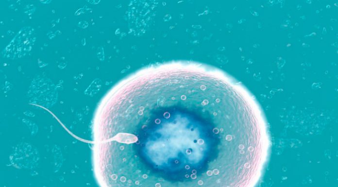 Как определить, произошло ли зачатие?