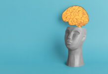 Эффективные способы улучшения памяти: научные методы тренировки мозга без мифов