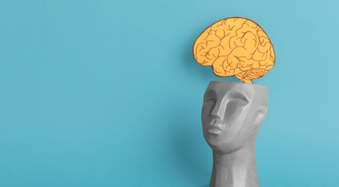 Эффективные способы улучшения памяти: научные методы тренировки мозга без мифов