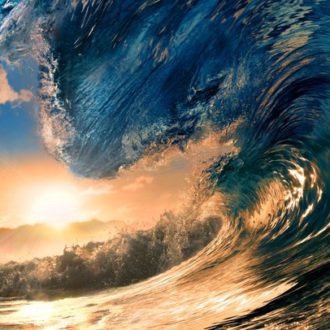 Тест на интеллект: узнай свой процент знаний