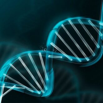 Генетическое бесплодие — факторы генетического бесплодия у мужчин и женщин