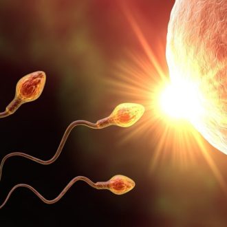 Готовимся к зачатию с клиникой «9 месяцев»