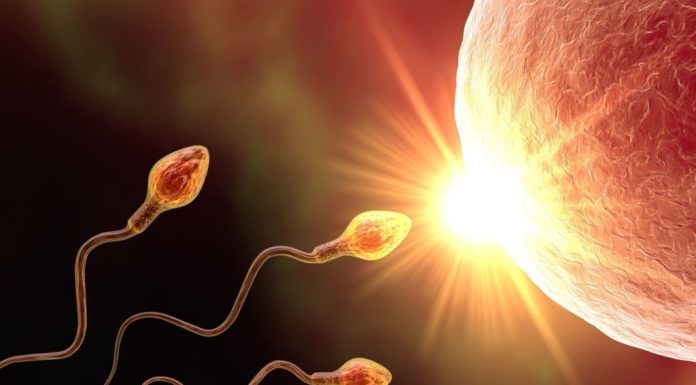 Готовимся к зачатию с клиникой «9 месяцев»