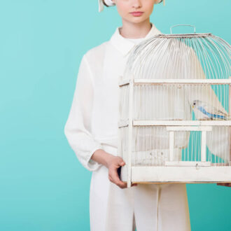 Как выбрать товар в зоомагазине