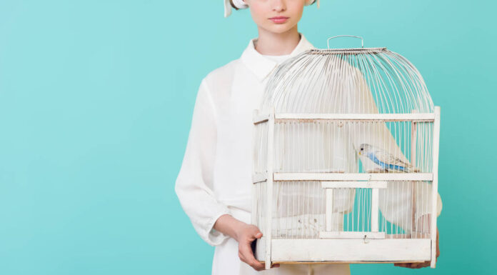 Как выбрать товар в зоомагазине