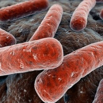 Кишечная палочка во влагалище и бесплодие