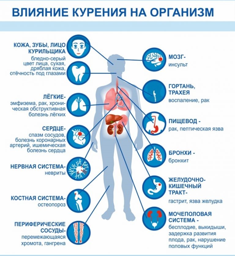 Воздействие табака на организм человека картинки