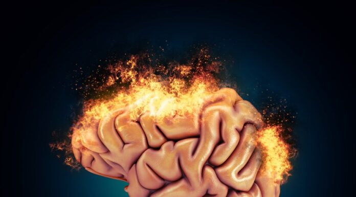 Хроническая ишемия мозга: причины, симптомы, диагностика и лечение