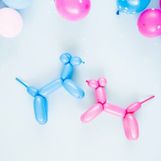 Что такое гендер пати