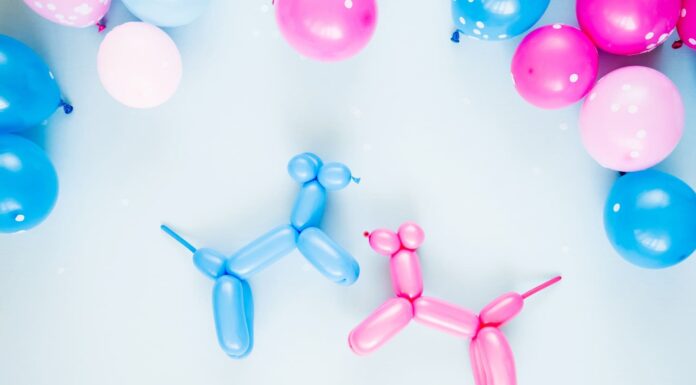 Что такое гендер пати