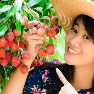 Личи: описание фрукта, полезен ли для здоровья и чем, цена за килограмм сейчас и где можно заказать