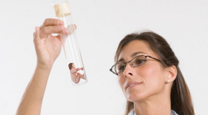 Этапы проведения ЭКО