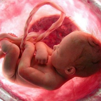 На каком сроке начинает биться сердце у эмбриона и как его услышать?