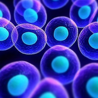 Тест: проверка вашей эрудиции!