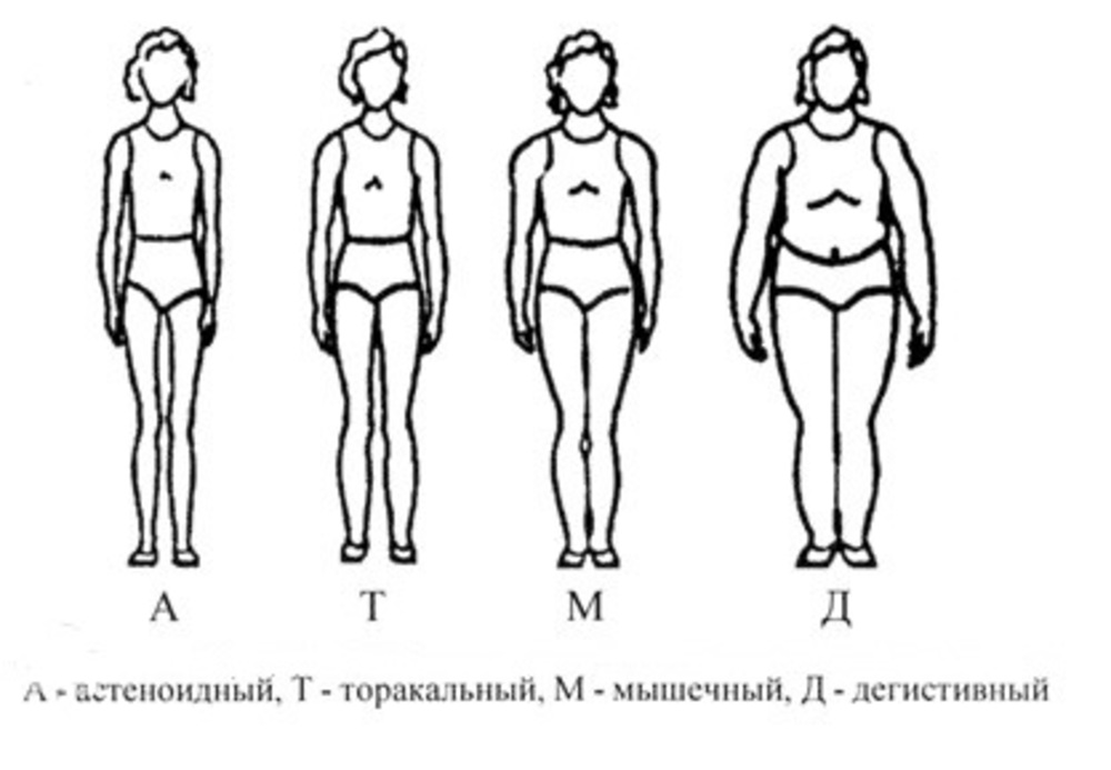 Схемы конституциональной диагностики в г штефко и а д островского