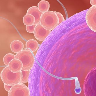Какова вероятность забеременеть после секса во время овуляции?
