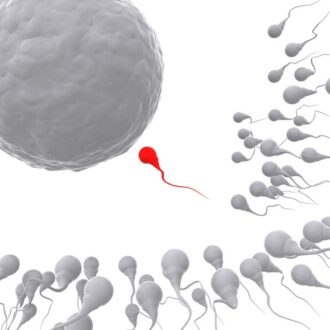 Бесплодие в онкологии