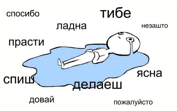 Тест на грамотность: только кто учился в школе на 5 пройдут эти вопросы
