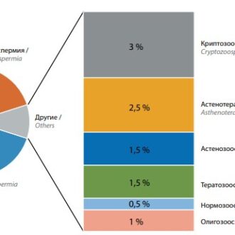 Генетические факторы мужского бесплодия, их сочетания и спермиологическая характеристика мужчин с нарушением фертильности | — Урологический информационный портал!